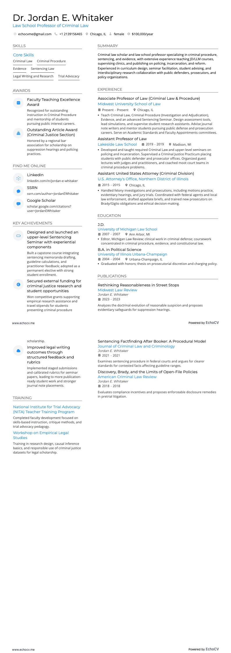 法科大学院の刑法教授 example resume