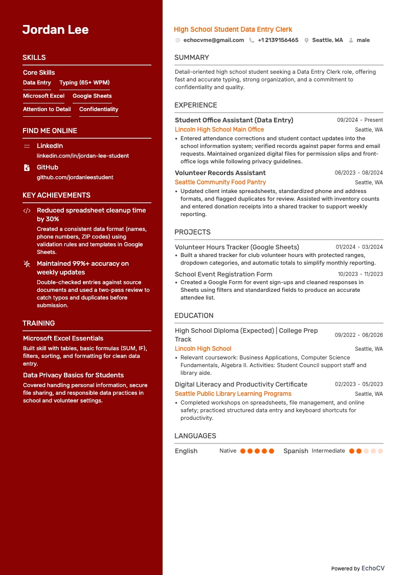 High School Student Data Entry Clerk example resume