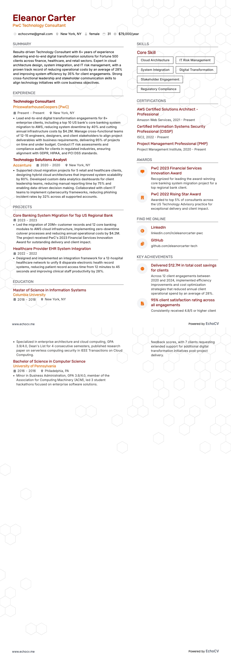PwC Technology Consultant example resume
