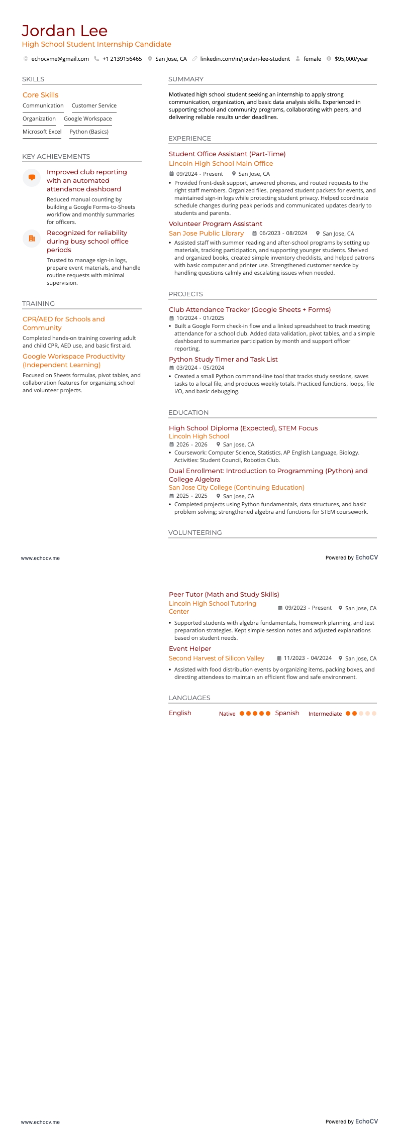 High School Student Internship full preview