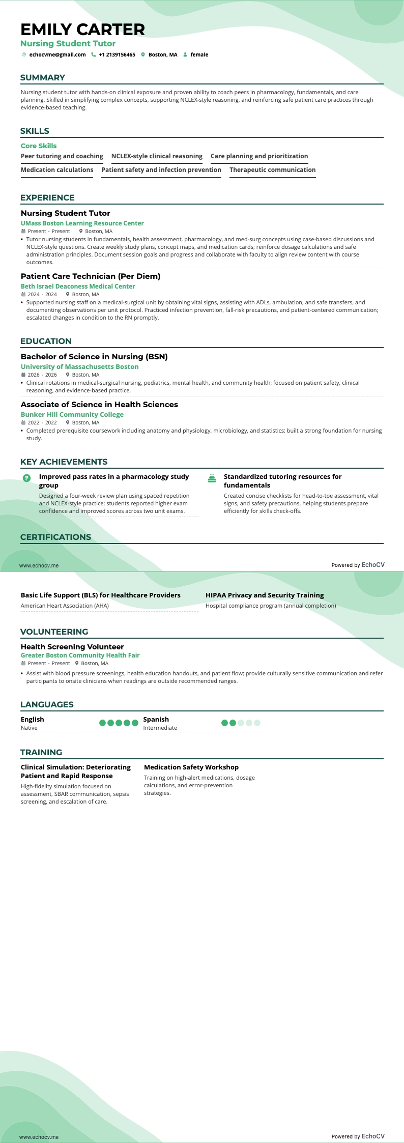 Gia sư sinh viên điều dưỡng example resume