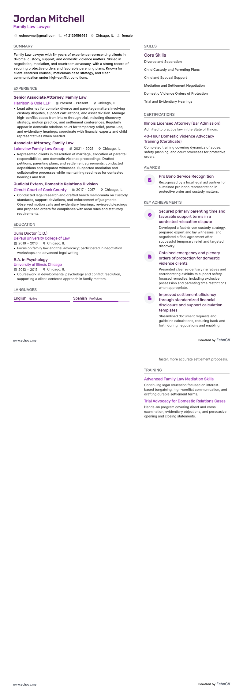 Family Law Lawyer example resume