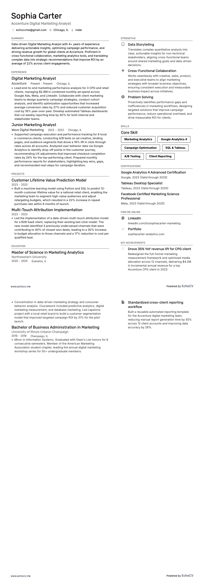 Accenture Digital Marketing Analyst example resume