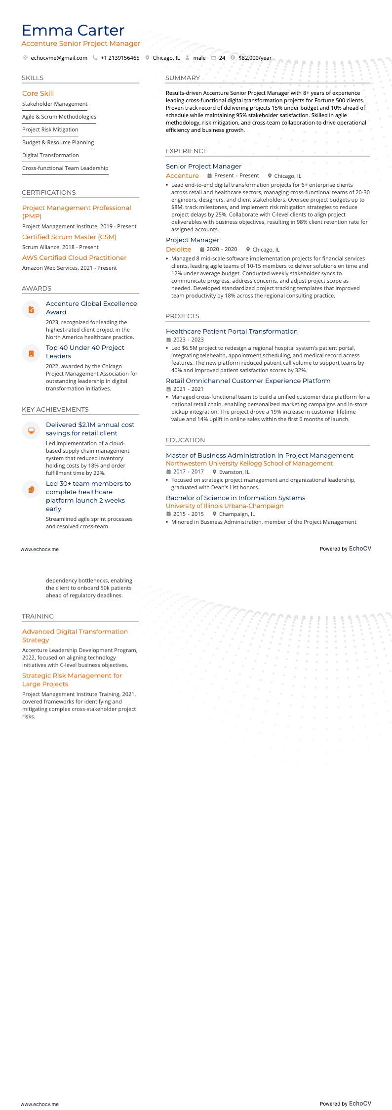 Accenture Senior Project Manager example resume