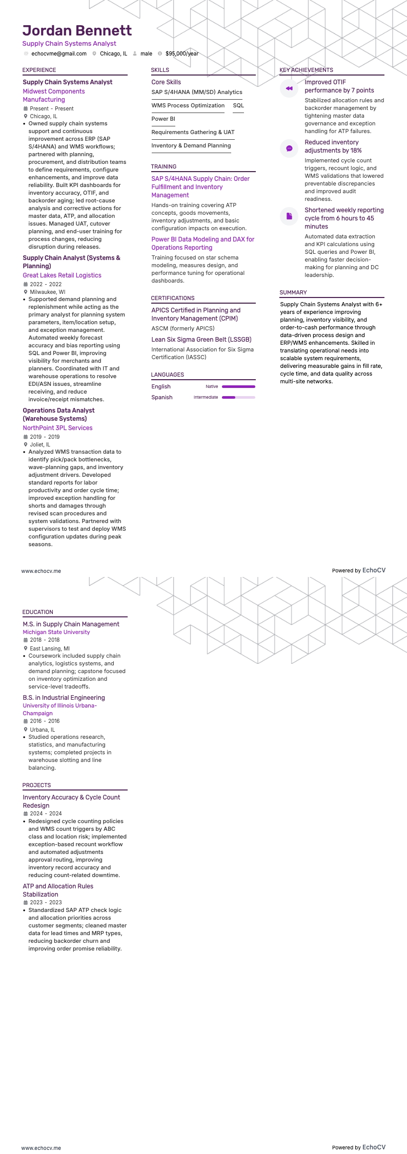 Analyste des systèmes de chaîne logistique example resume