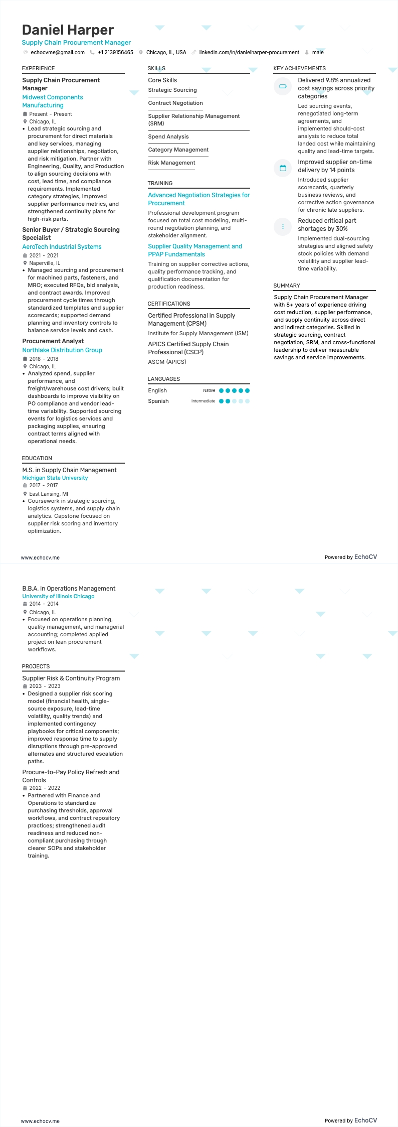 Supply Chain Manager resume example