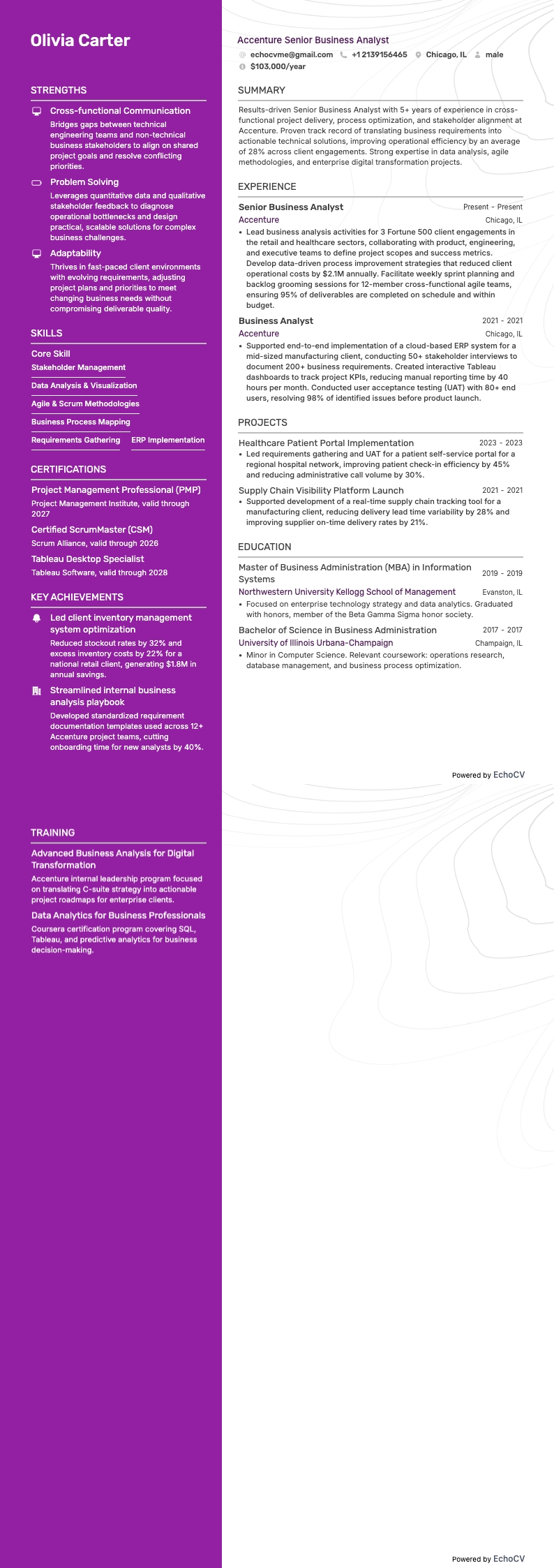 Accenture Senior Business Analyst full preview