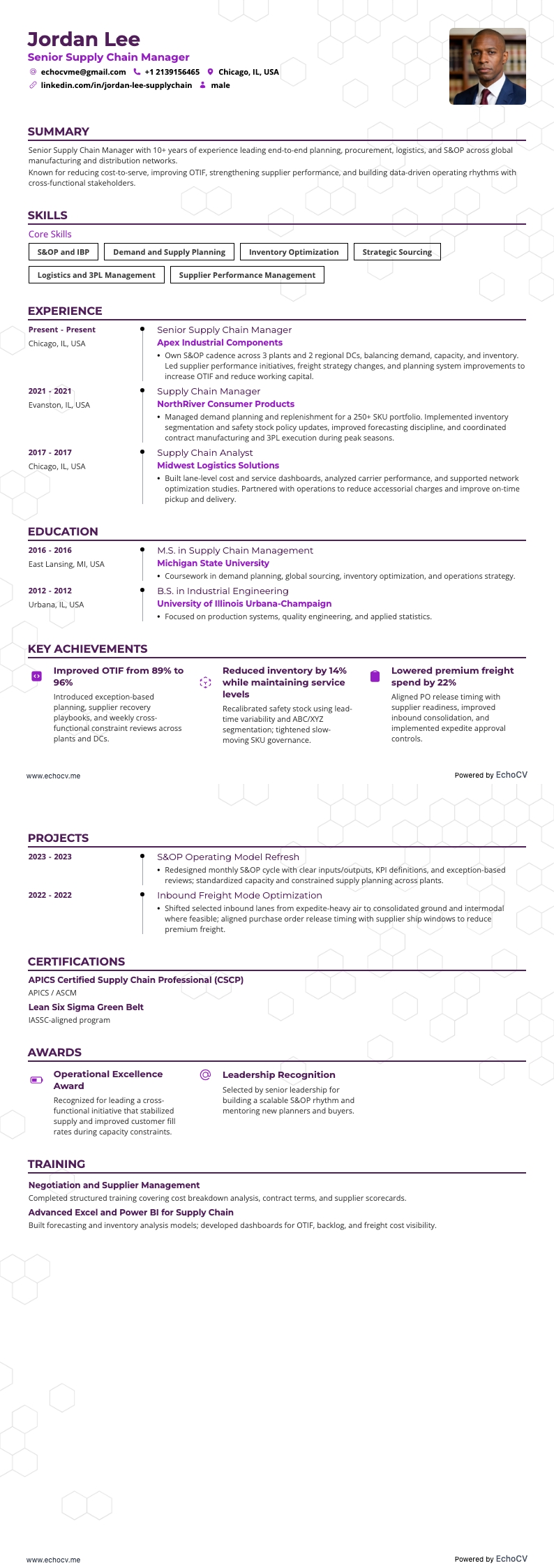 Senior Supply Chain Manager example resume