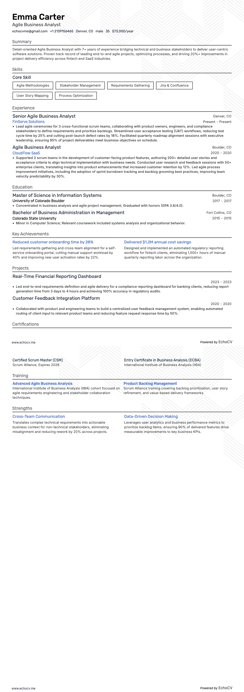 Agile Business Analyst example resume