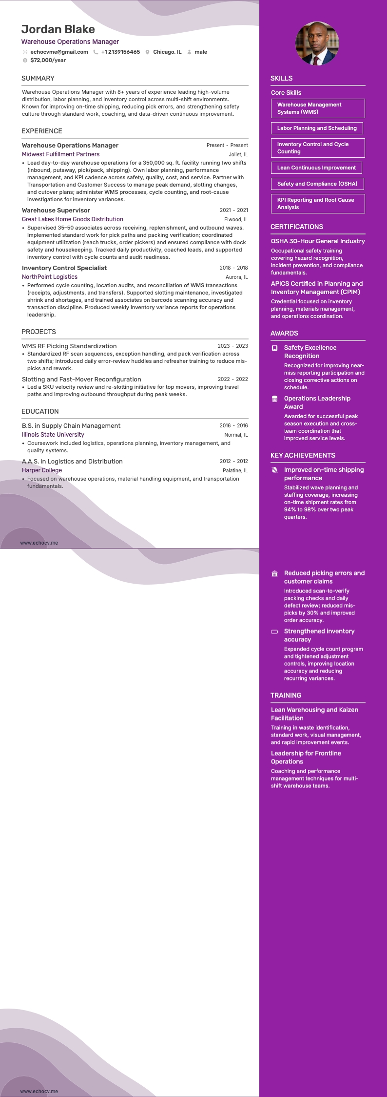 Warehouse Operations Manager example resume