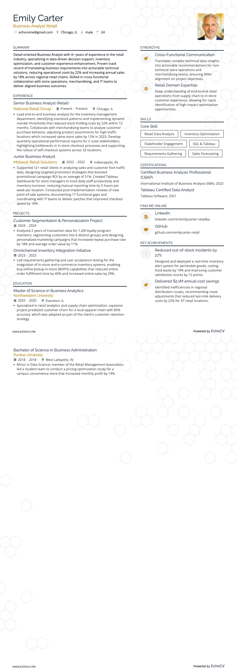 Business Analyst Retail example resume