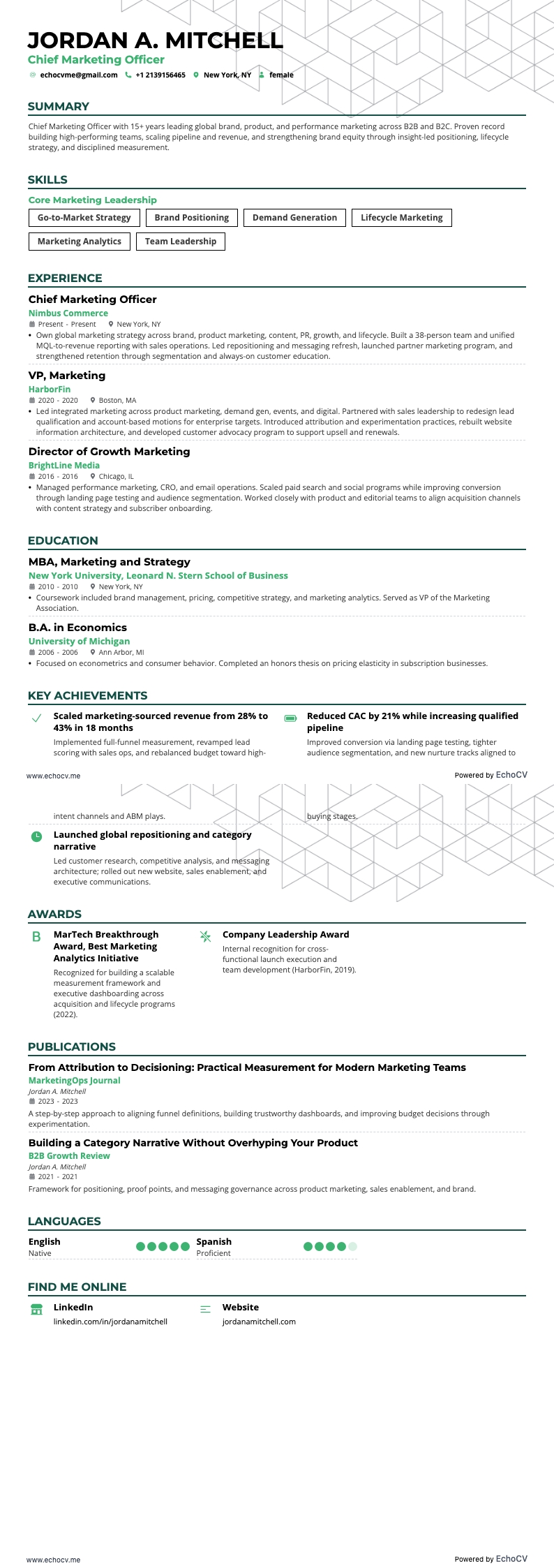 Chief Marketing Officer example resume