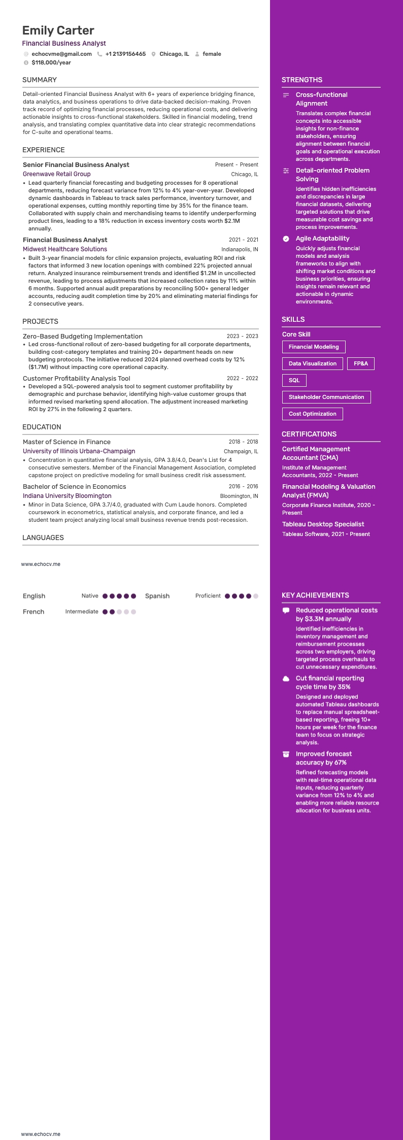 Financial Business Analyst example resume