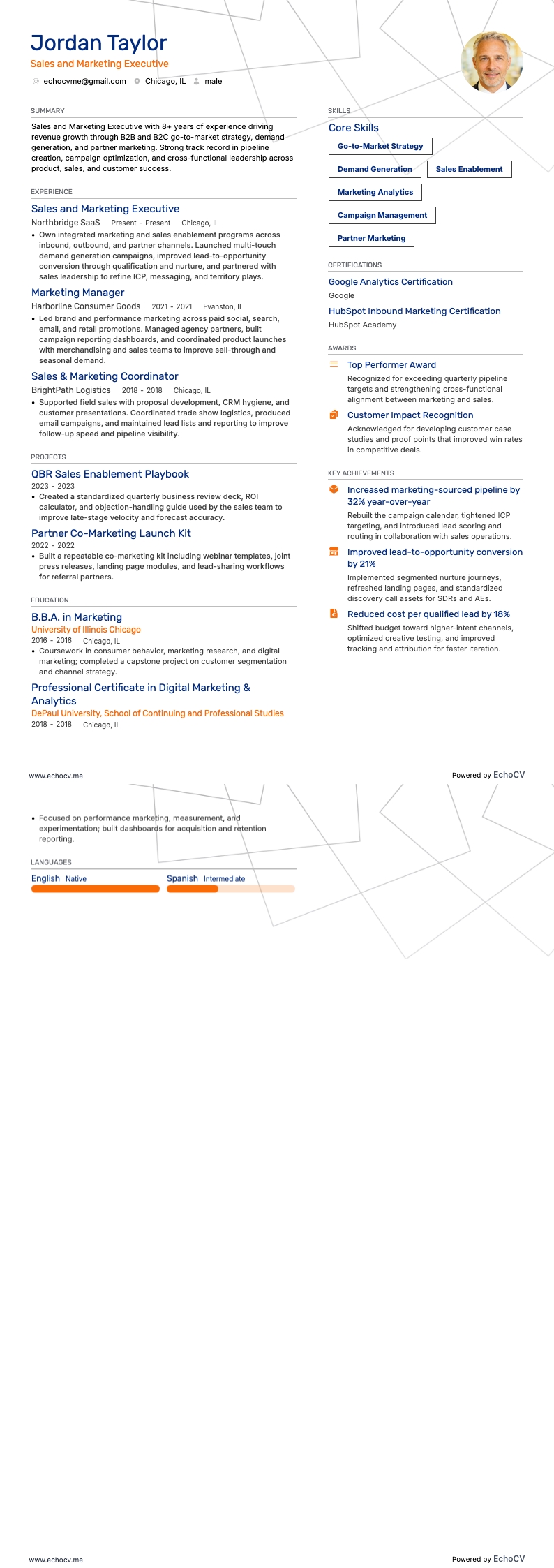 Giám đốc Kinh doanh và Tiếp thị example resume