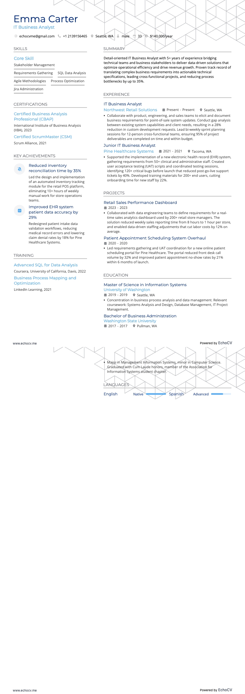 IT Business Analyst example resume