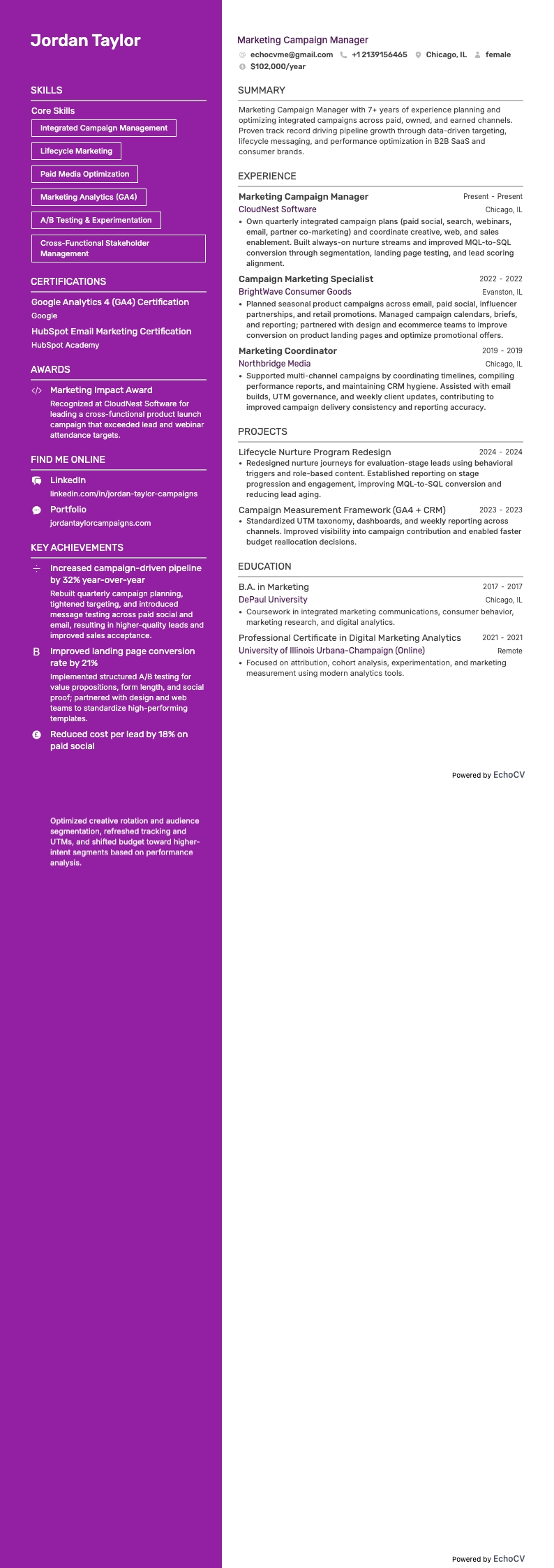 Quản lý chiến dịch marketing example resume