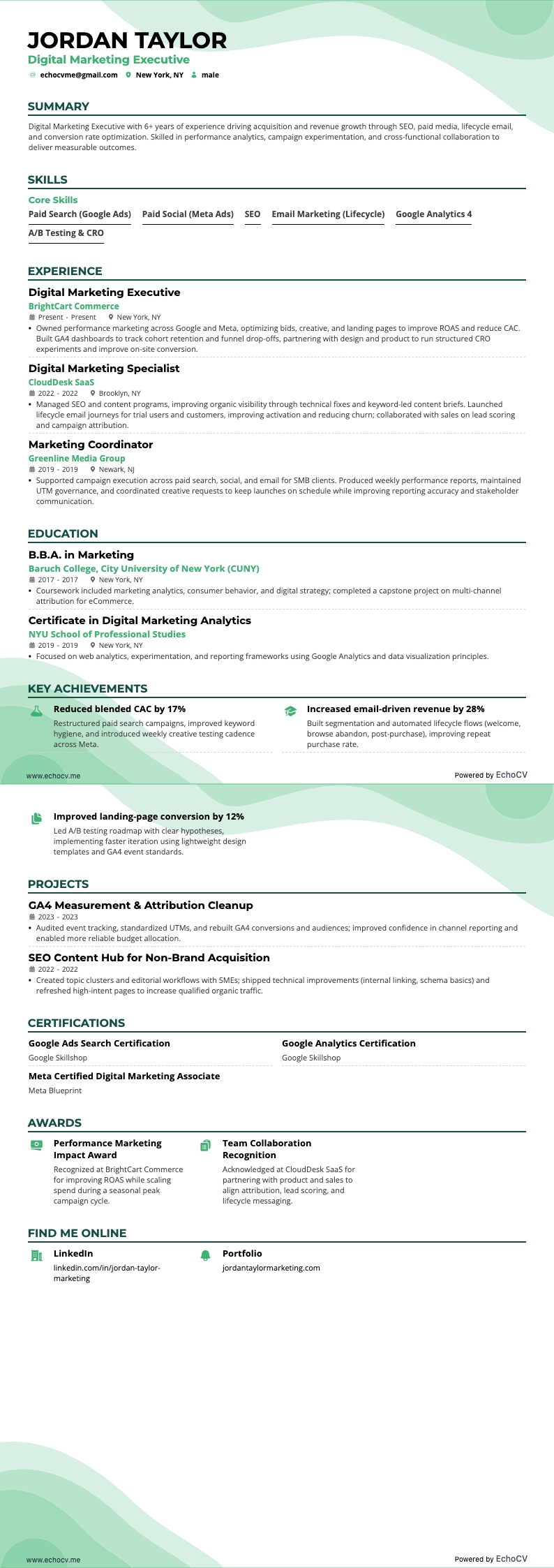 Digital Marketing Executive example resume