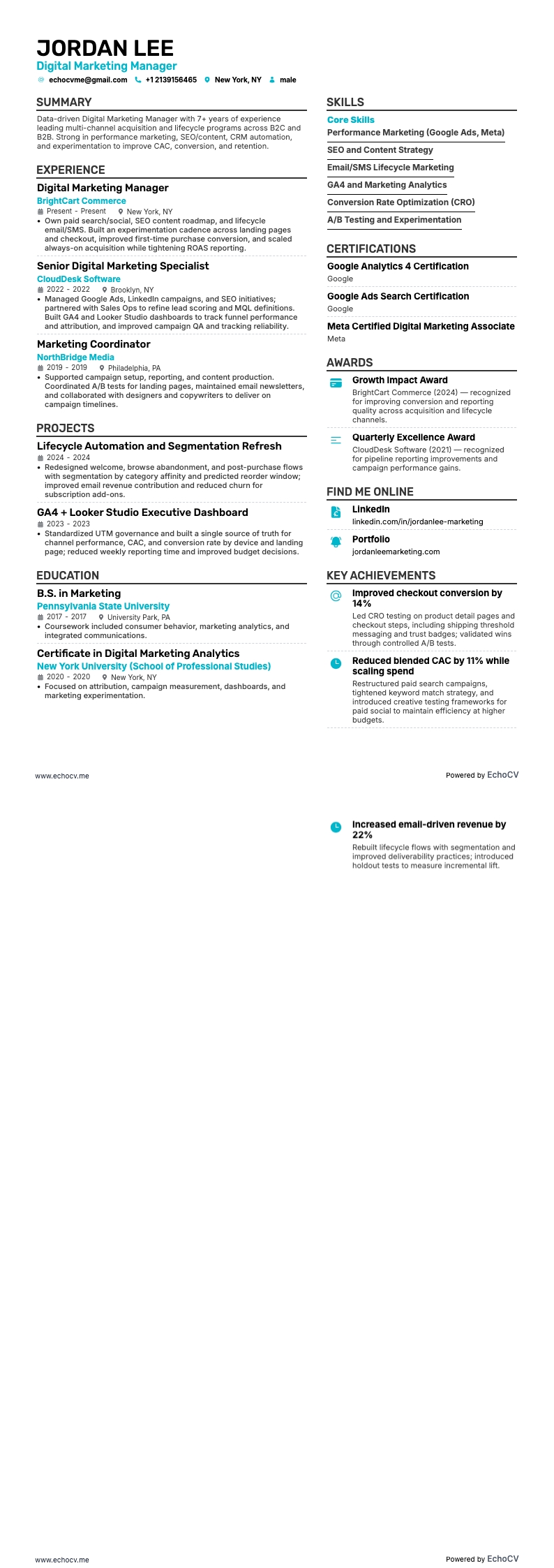 Digital Marketing Manager example resume