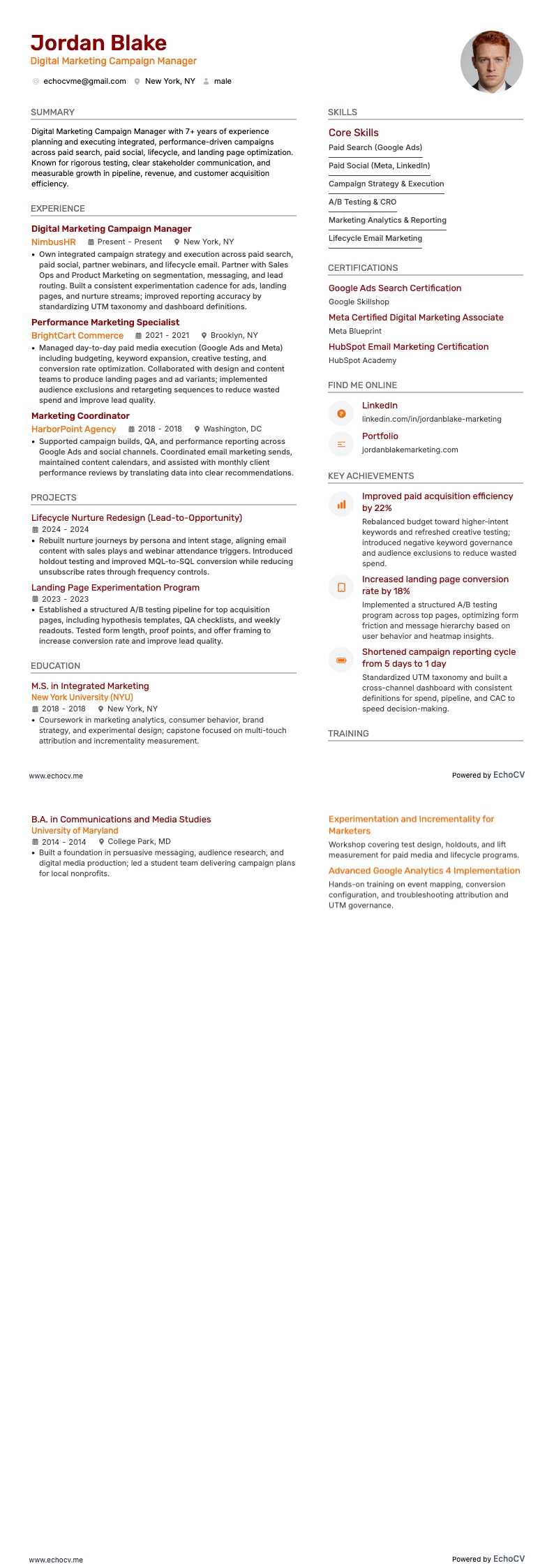 Digital Marketing Campaign Manager example resume