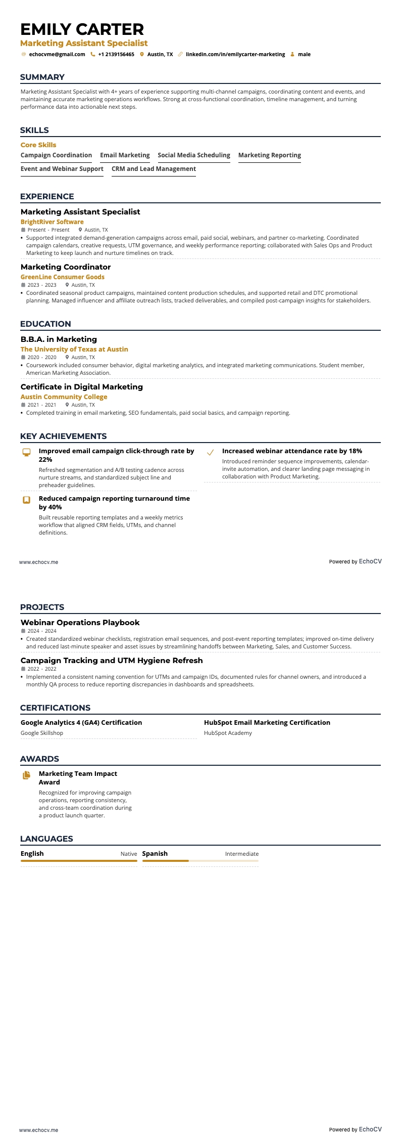 Specialist inom marknadsassistent