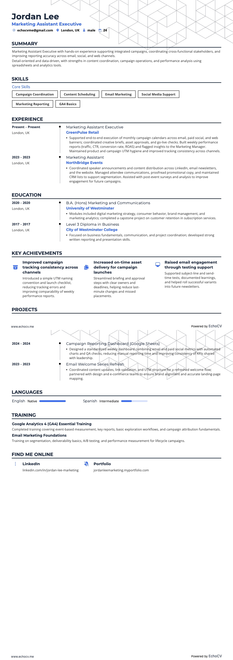 マーケティングアシスタントエグゼクティブ example resume