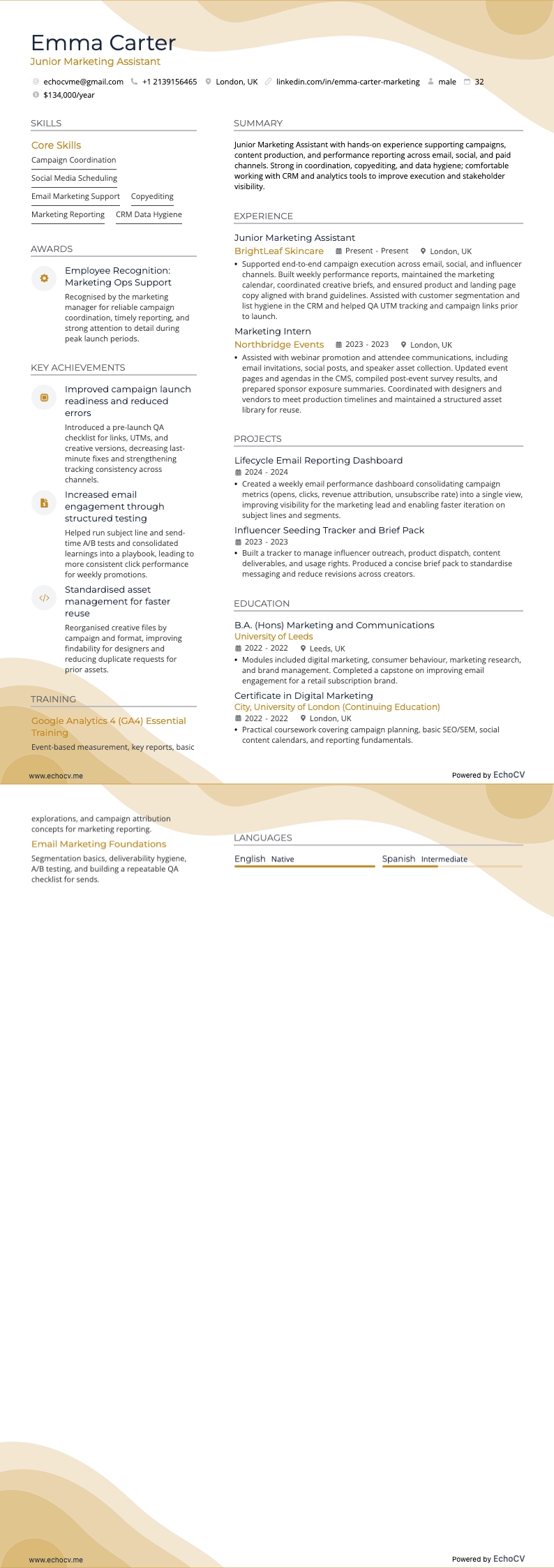 マーケティングアシスタント resume example