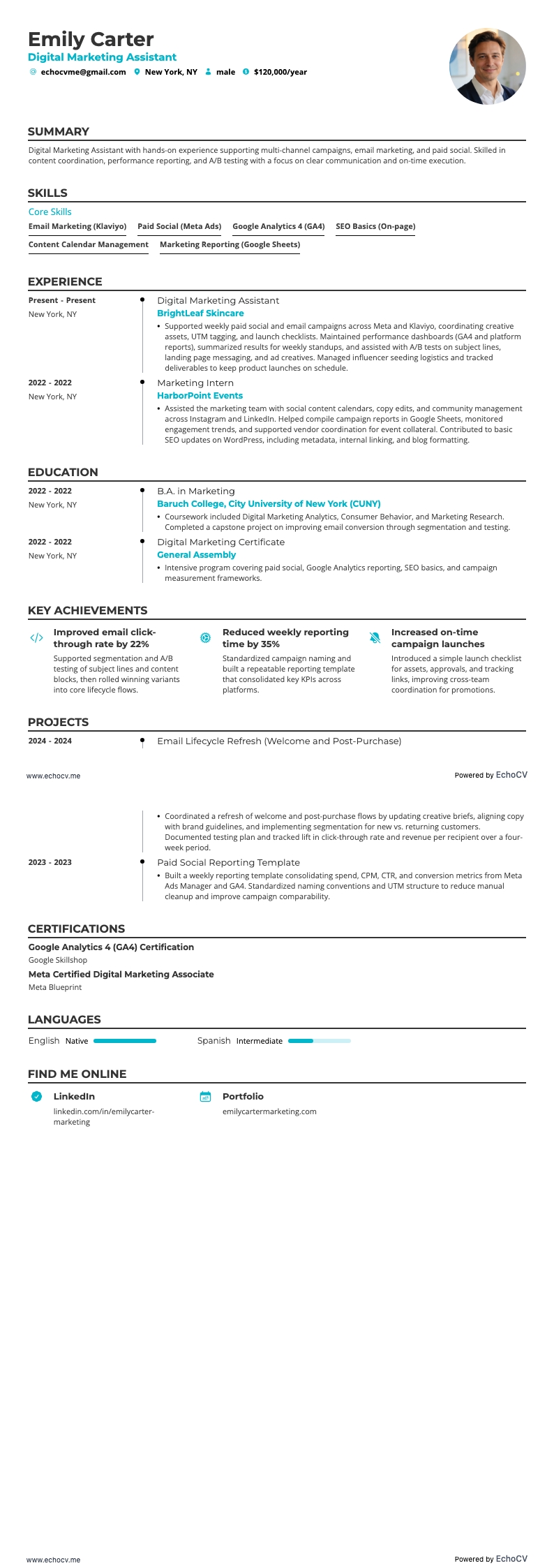 デジタルマーケティングアシスタント example resume