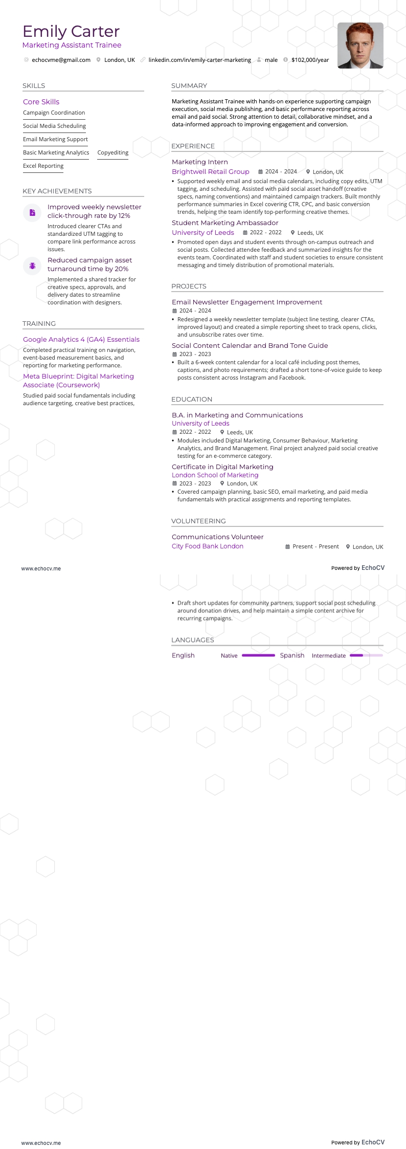 マーケティングアシスタント研修生 example resume