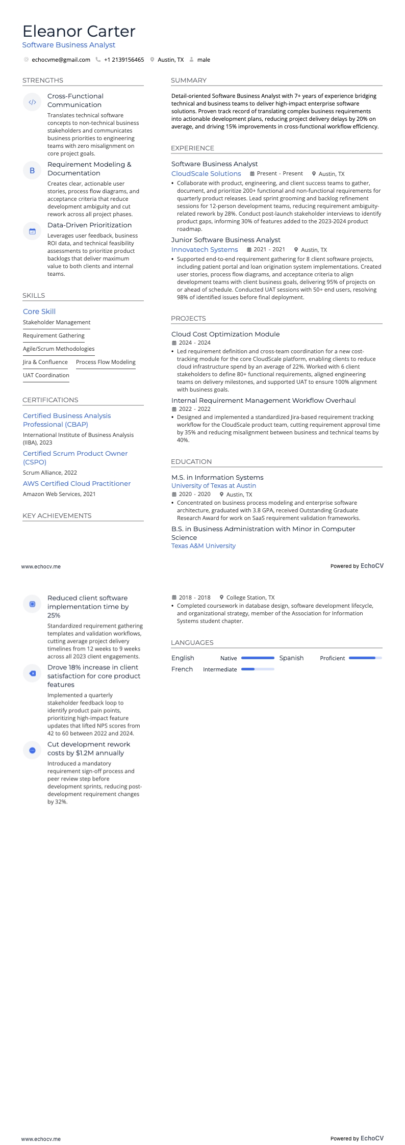 Software Business Analyst example resume