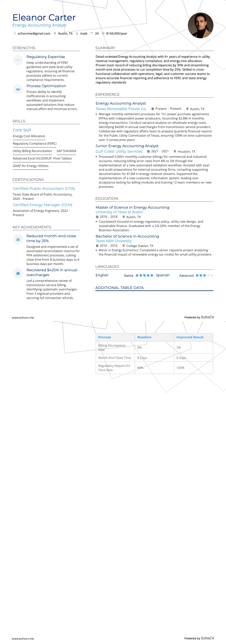 Analyste en comptabilité énergétique example resume