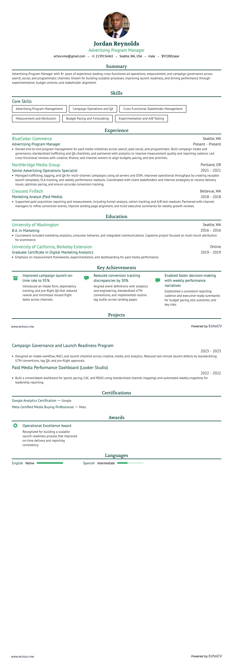 광고 프로그램 매니저 example resume