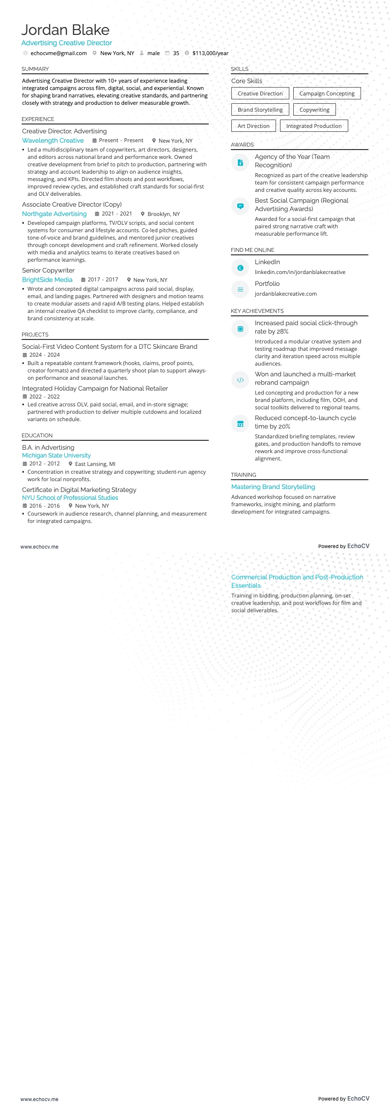 광고 크리에이티브 디렉터 example resume