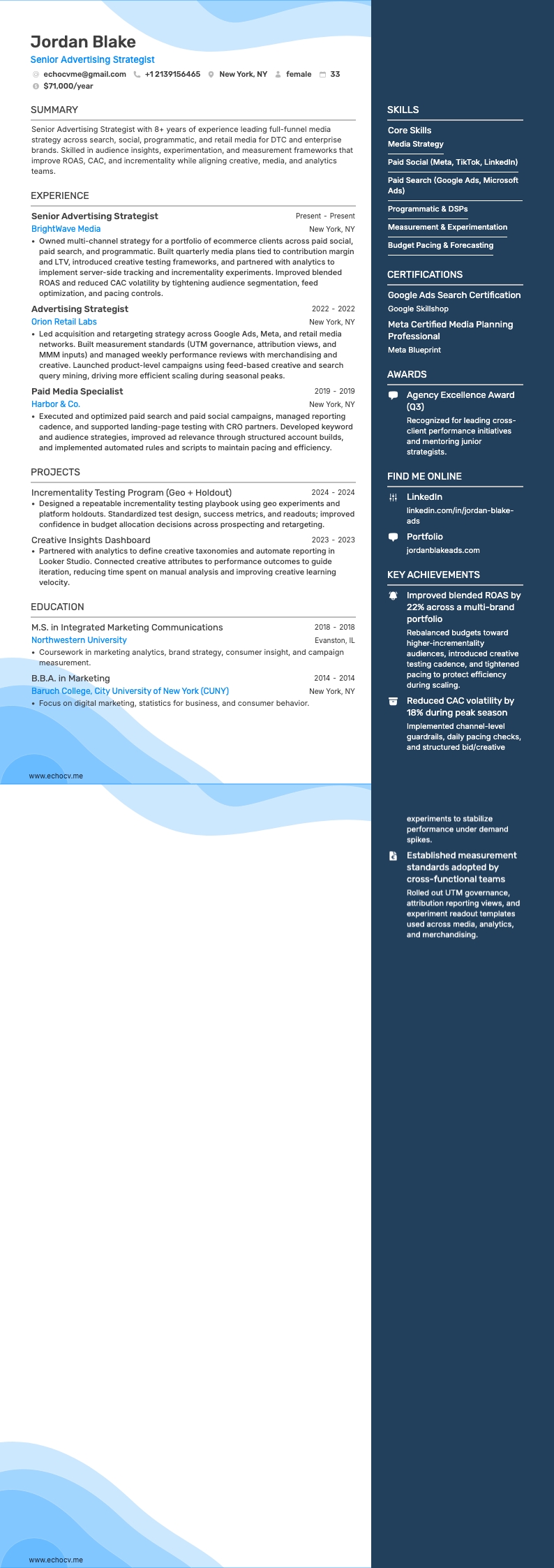 시니어 광고 전략가 example resume