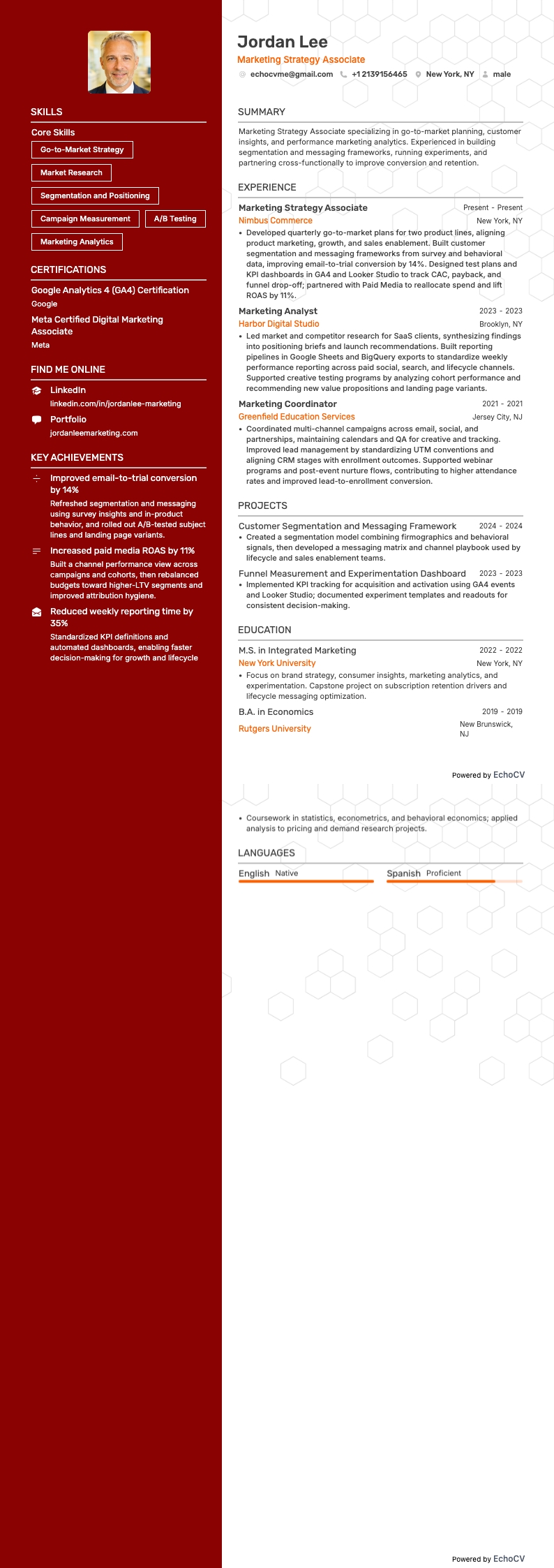 マーケティング戦略担当 example resume