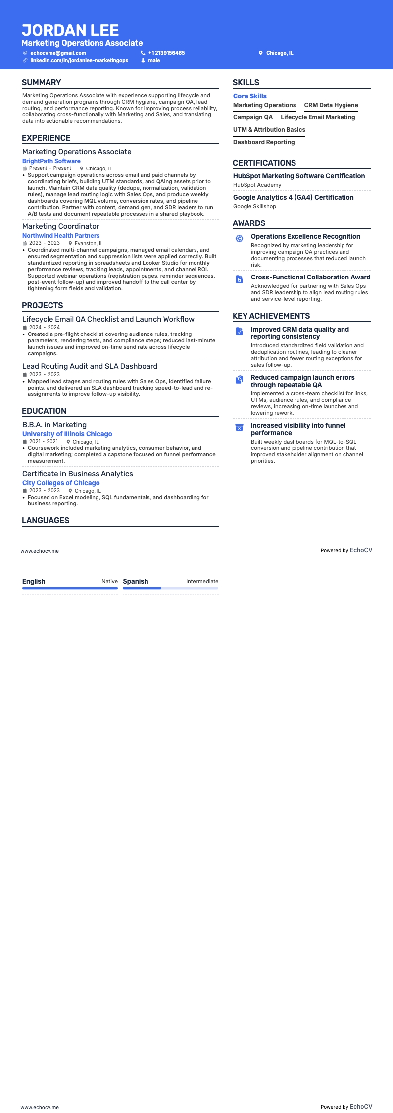 マーケティングオペレーション担当 example resume