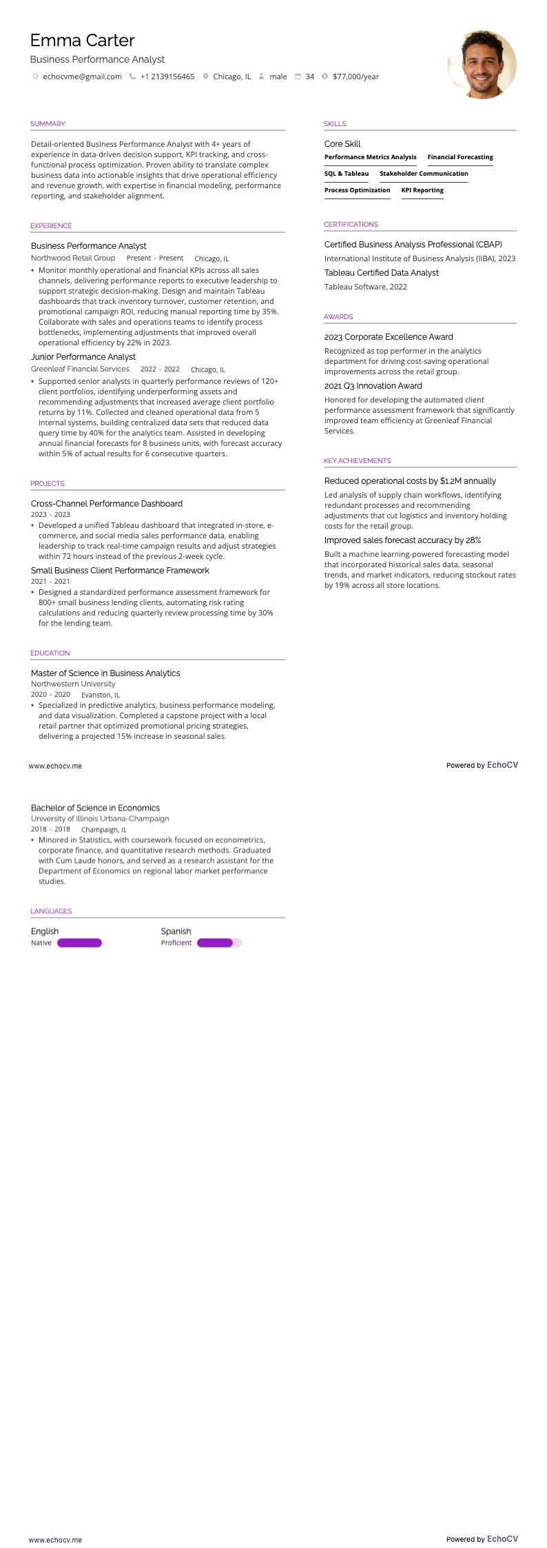 Business Performance Analyst example resume