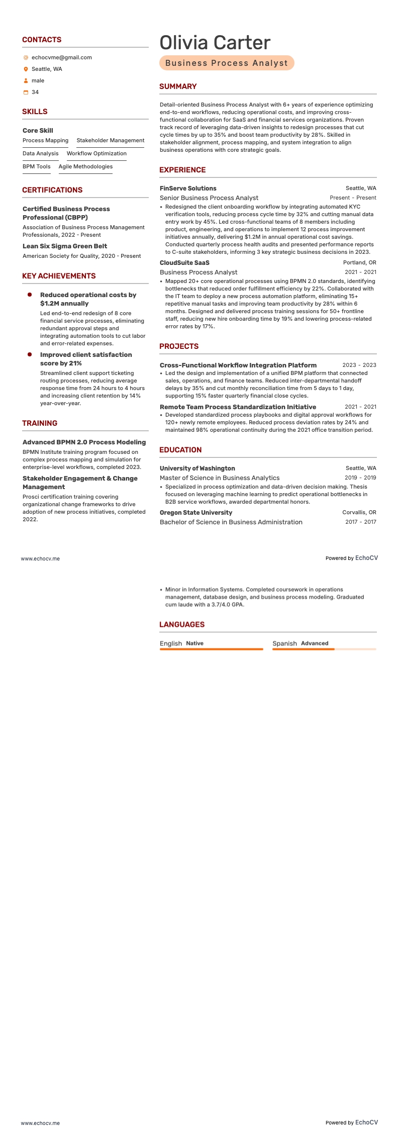 Business Process Analyst example resume