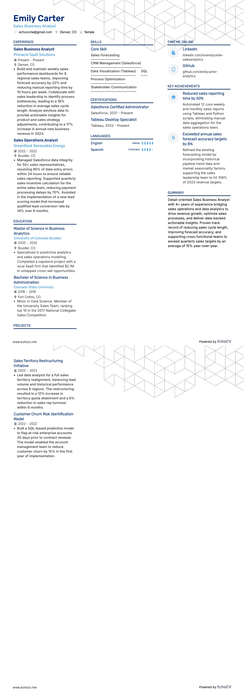 Sales Business Analyst example resume