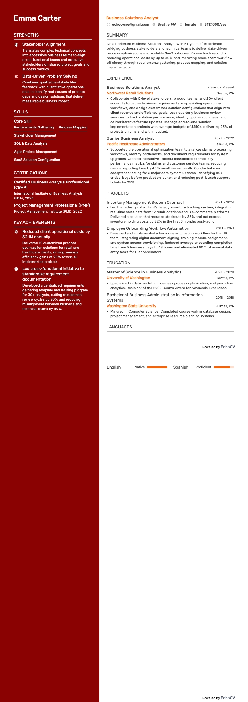 Business Solutions Analyst example resume