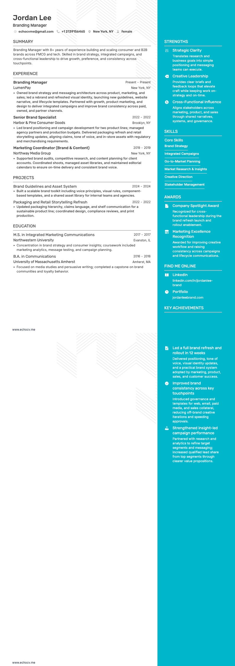 Branding Manager example resume