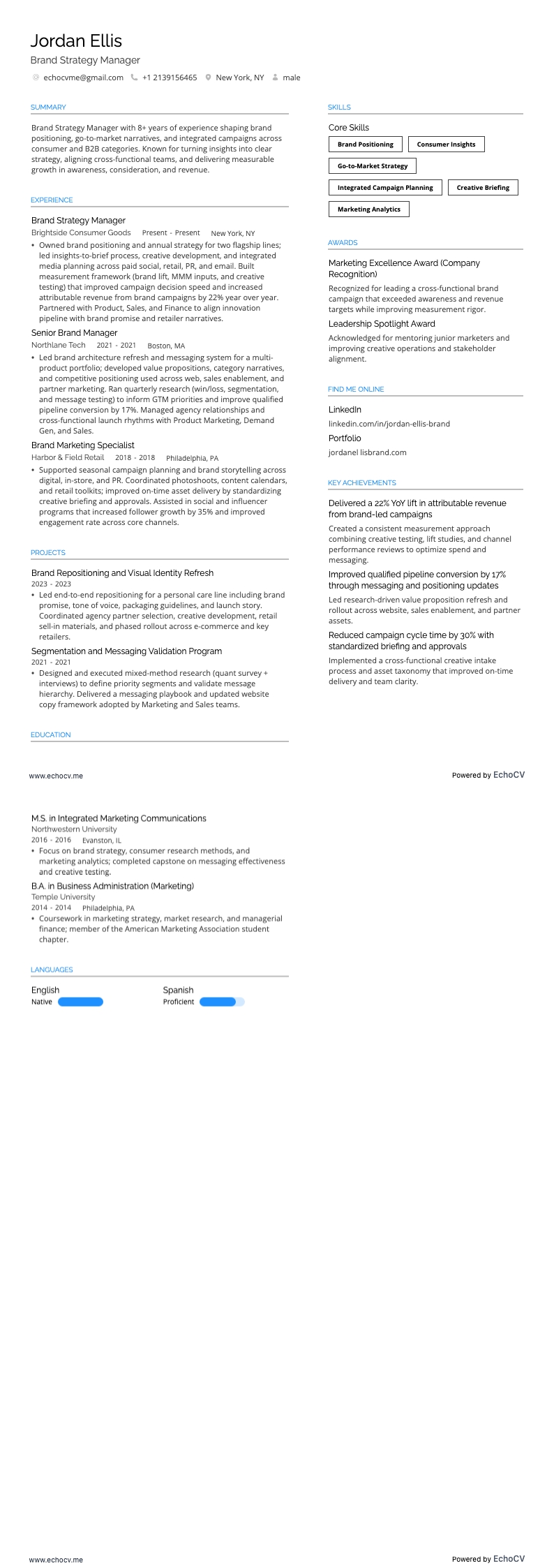 Brand Strategy Manager example resume