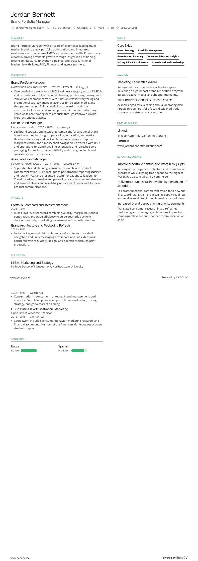 Brand Portfolio Manager example resume