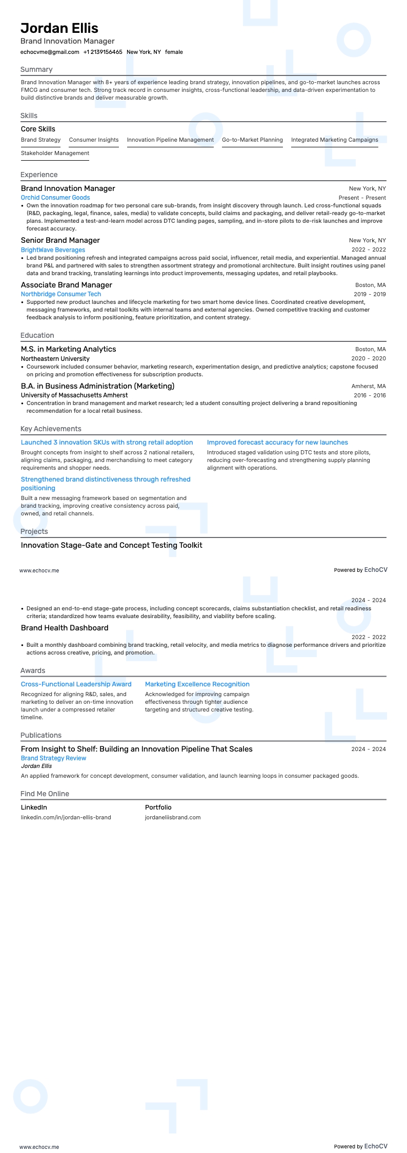 Brand Innovation Manager example resume