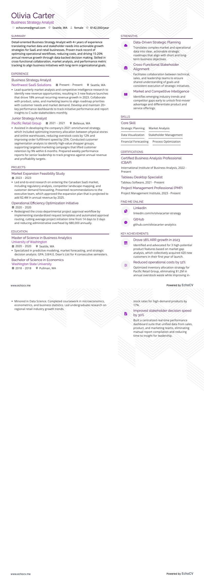 Business Strategy Analyst example resume