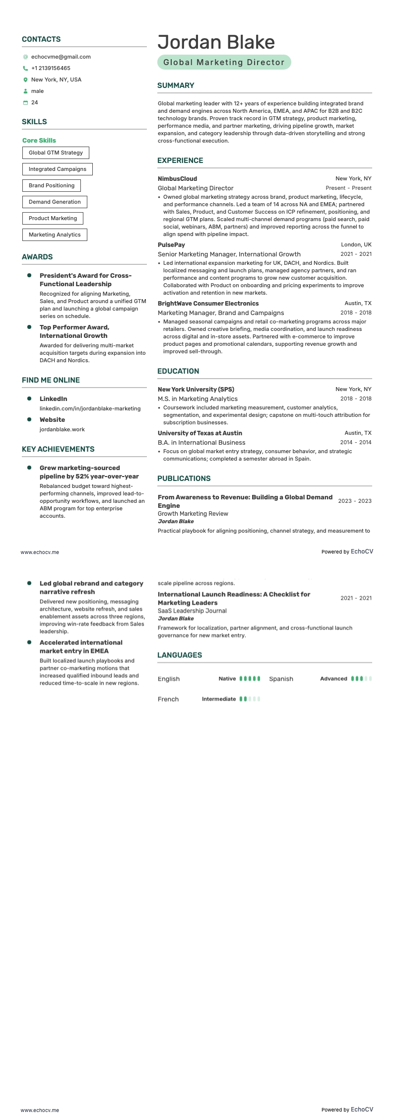 Marketingdirektor resume example