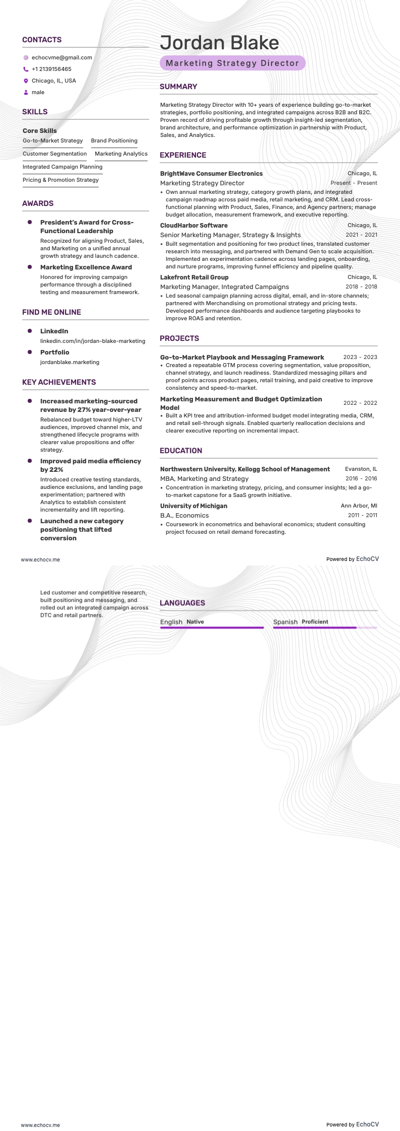 Diretor de Estratégia de Marketing example resume