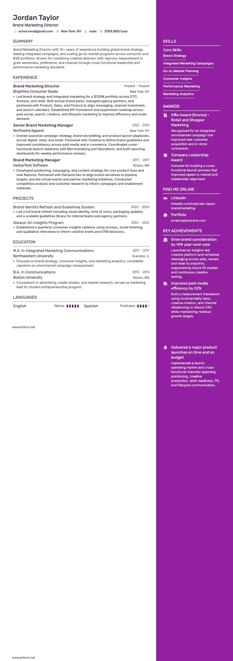 Direttore marketing resume example