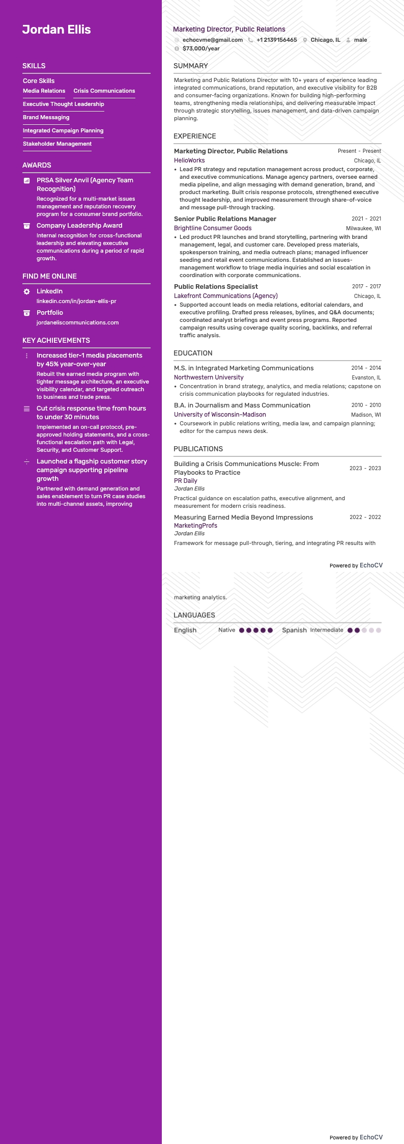 Diretor de Marketing e Relações Públicas example resume