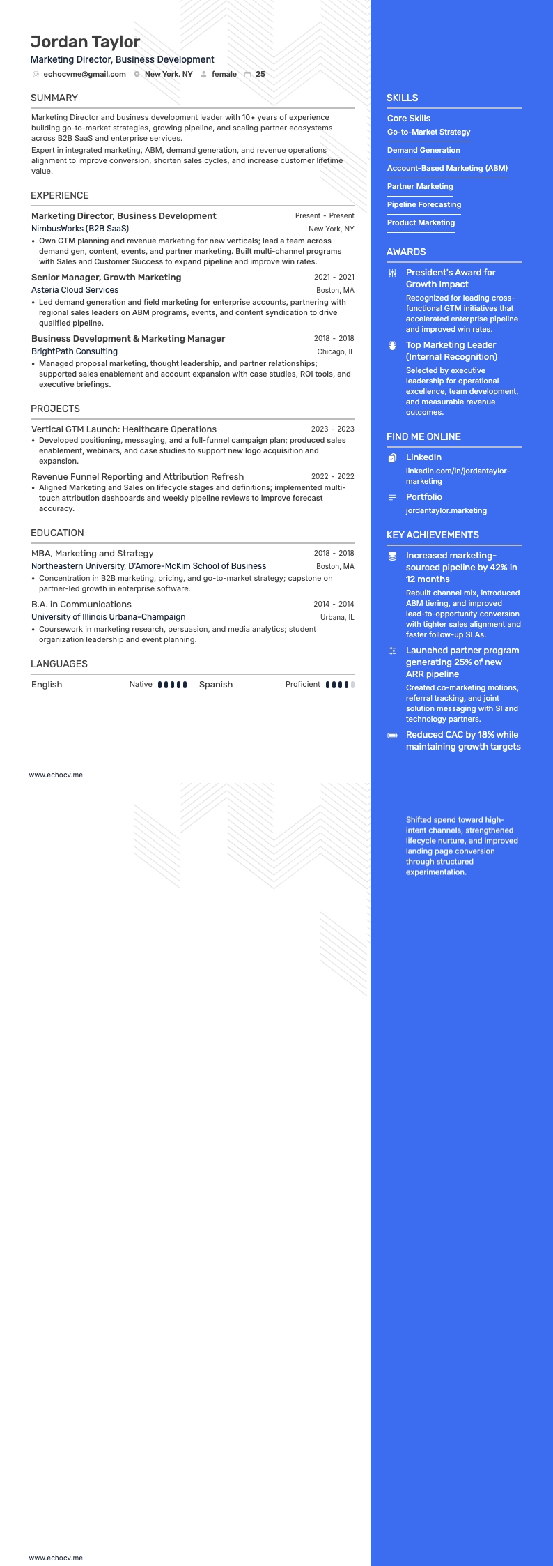 Diretor de Marketing e Desenvolvimento de Negócios example resume