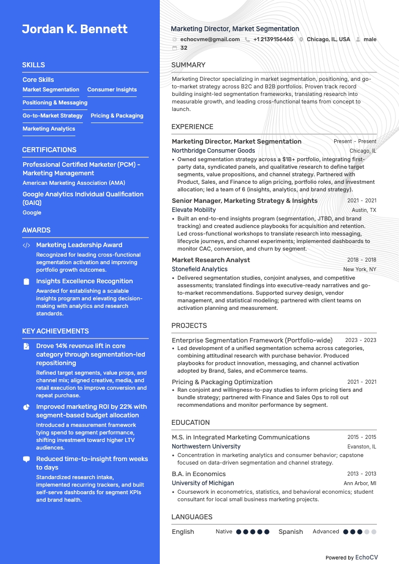 Diretor de Marketing, Segmentação de Mercado example resume